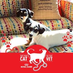 Meet your Posher, Alison